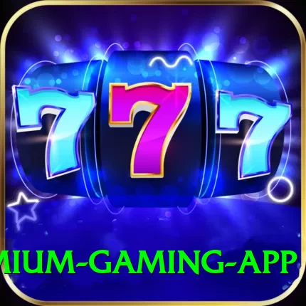 PKR Slots Premium Gaming App - 2